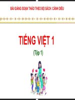 Lớp 1 - Học vần - Tuần 5: Bài 23: p - ph
