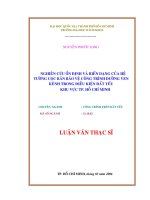 Nghiên cứu ổn định và biến dạng của hệ tường cọc bản bảo vệ công trình đường ven kênh trong điều kiện đất yếu khu vực tp  hồ chí minh 