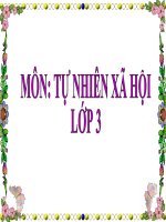 tnxh-3-tuan-31-trai-dat-la-mot-hanh-tinh-trong-he-mat-troi_