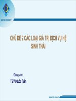 các loại giá trị dịch vụ hệ sinh thái: Giá trị sử dụng và giá trị phi sử dụng