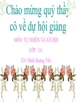 Tự Nhiên Xã Hội 3 - Tuần 13 - Một số hoạt động ở trường, không chơi trò chơi nguy hiểm