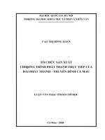 Tổ chức sản xuất chương trình phát thanh trực tiếp của đài phát thanh   truyền hình cà mau​ 