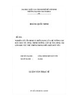 Nghiên cứu ổn định và biến dạng của hệ tường cọc bản bảo vệ công trình đường cấp 60 ven sông sài gòn khu vực thủ thiêm trong điều kiện đất yếu 