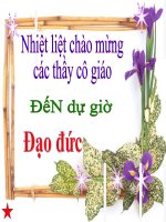 Đạo đức 2- Tuần 2- Bài 1: Học tập sinh hoạt đúng giờ (tiếp theo)