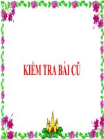 Lớp 4 - Địa lý - Tuần 20: Đồng bằng Nam bộ