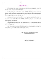 Nghiên cứu ổn định và biến dạng của đường cấp 80 và 60 dẫn vào cầu đắp cao trên đất yếu khu vực an phú   an khánh quận 2 tp  hồ chí minh 