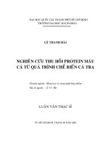 Nghiên cứu thu hồi protein máu cá từ quá trình chế biến cá tra 