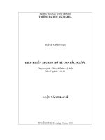 Điều khiển neuron mờ hệ con lắc ngược 