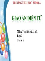 Tuần 6 - Bài: Cơ quan tiêu hóa