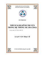 Thích nghi kênh truyền trong hệ thống mc ds cdma  
