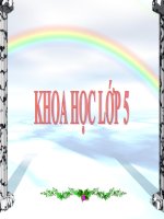 Lớp 5 - Khoa học - Tuần 14: Gốm xây dựng gạch ngói