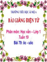 Tuần 19 - học vần - Bài 79: ôc - uôc