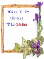 Đạo đức 5 - Tuần 5 - Có chí thì nên