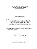 Nghiên cứu thu nhận chế phẩm invertase từ nấm men bia saccharomices carlsbergensis   
