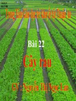 Tiểu học Đô thị Sài Đồng | Bài 22: Cây rau