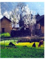 Lớp 3 - MRVT - Tuần 34: Thiên nhiên. Dấu chấm, dấu phẩy