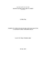 Luận văn thạc sĩ Tài nguyên thiên nhiên, Địa chất, Địa mạo, Vùng cát đỏ