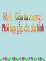 Tuần 10 - BÀI KIỂM TRA : PHỐI HỢP GẤP, CẮT, DÁN HÌNH