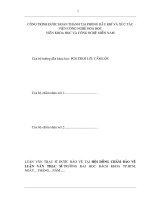 Nghiên cứu điều chế xúc tác oxyt kim loại được biến tính bằng cerium oxyt cho quá trình oxy hóa cacbon monoxyt   