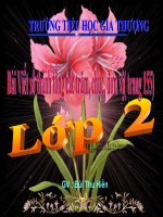 Lớp 2 - Toán - Tuần 33: Ôn tập các số phạm vi 1000 (Tiết 2)