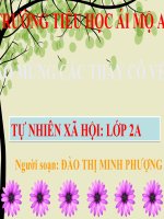 Tuần 26 - Một số loài cây sống dưới nước