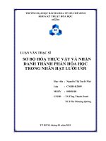 Sơ bộ hóa thực vật và nhận danh thành phần hóa học trong nhân hạt lười ươi  