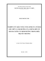 Luận văn thạc sĩ Sinh học thực nghiệm, Sinh học, Tế bào, Tế bào da, Điều trị vết thương, Tế bào gốc mỡ