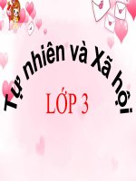 Lớp 3 - TNXH - Tuần 33: Bề mặt trái đất