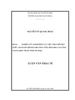 Nghiên cứu ảnh hưởng của việc thay đổi mực nước ngầm lên hố đào thi công tầng hầm nhà cao tầng  