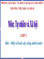 TNXH 2- Tuần 26- Một số loài cây sống dưới nước