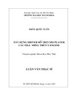 Xây dựng driver hỗ trợ cho player các file mpeg trên t engine  