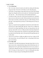 Sáng kiến kinh nghiệm cấp thành phố 