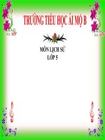 Lịch sử 5 - Tuần 1 - Bình Tây Đại nguyên soái Trương Định