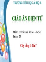 Tuần 24 - Bài; Cây sống ở đâu?