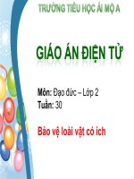 Tuần 30 -  Bai: Bảo vệ loài vật có ích