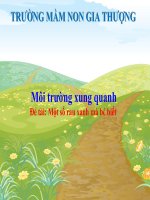 Bài giảng: Khám phá một số loại rau