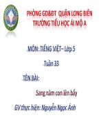 Tuần 33 - Tập đọc -  BÀI: Sang năm con lên bẩy