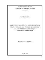 Nghiên cứu ảnh hưởng của nhóm chất Benzen Toluen Ethylbenzen và Xylen lên biểu hiện của gen Cyp2e1 ở người lao động có tiếp xúc nghề nghiệp