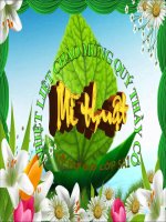 Giáo án Mĩ Thuật Khối 5- chủ đề 4