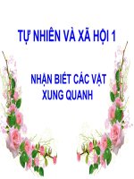 TNXH 1 - Bài 3: Nhận biết các vật xung quanh