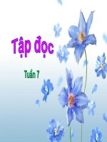 Tập đọc - Những người bạn tốt