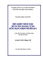 Điều khiển thích nghi hệ tay máy hai bậc tự do dùng mạng nơron mờ hồi quy  