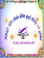 Môn Mĩ Thuật lớp 1- chủ đè 8