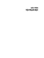 Giáo trình tội phạm học  lê thị sơn  