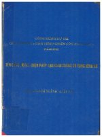 Biện pháp tạm giam trong tố tụng hình sự  