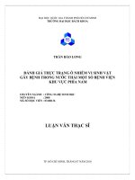 Đánh giá thực trạng ô nhiễm vi sinh vật gây bệnh trong nước thải một số bệnh viện khu vực phía nam  