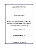 Nghiên cứu ảnh hưởng chiều cao trụ tháp đến nội lực, biến dạng cầu treo dây văng duới tác dụng của tải trọng gió  