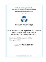 Nghiên cứu chế tạo pin mặt trời dssc trên nền polymer sử dụng chất điện ly gel  