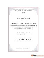 Khảo sát các phương pháp cố định saccharomyces cerevislae trên chất mang cellulose vi khuẩn  