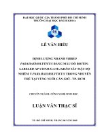 Định lượng nhanh vibrio parahaemolyticus bằng mẫu dò biotin   labeled ap conjugate  khảo sát mật độ nhiễm v  parahaemolyticus trong nhuyễn thể tại vùng nuôi cần giờ tp  hcm  